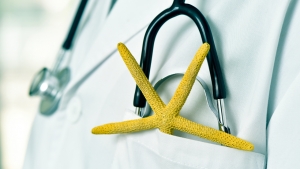 Turismo de salud en República Dominicana se mantiene expectante ante proyecto de ley